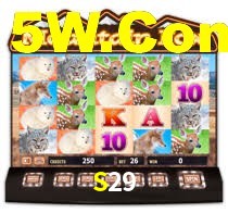 S29 Bet